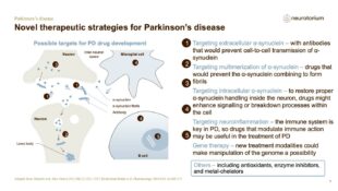 Parkinsons Disease – Neurobiology and Aetiology – slide 38